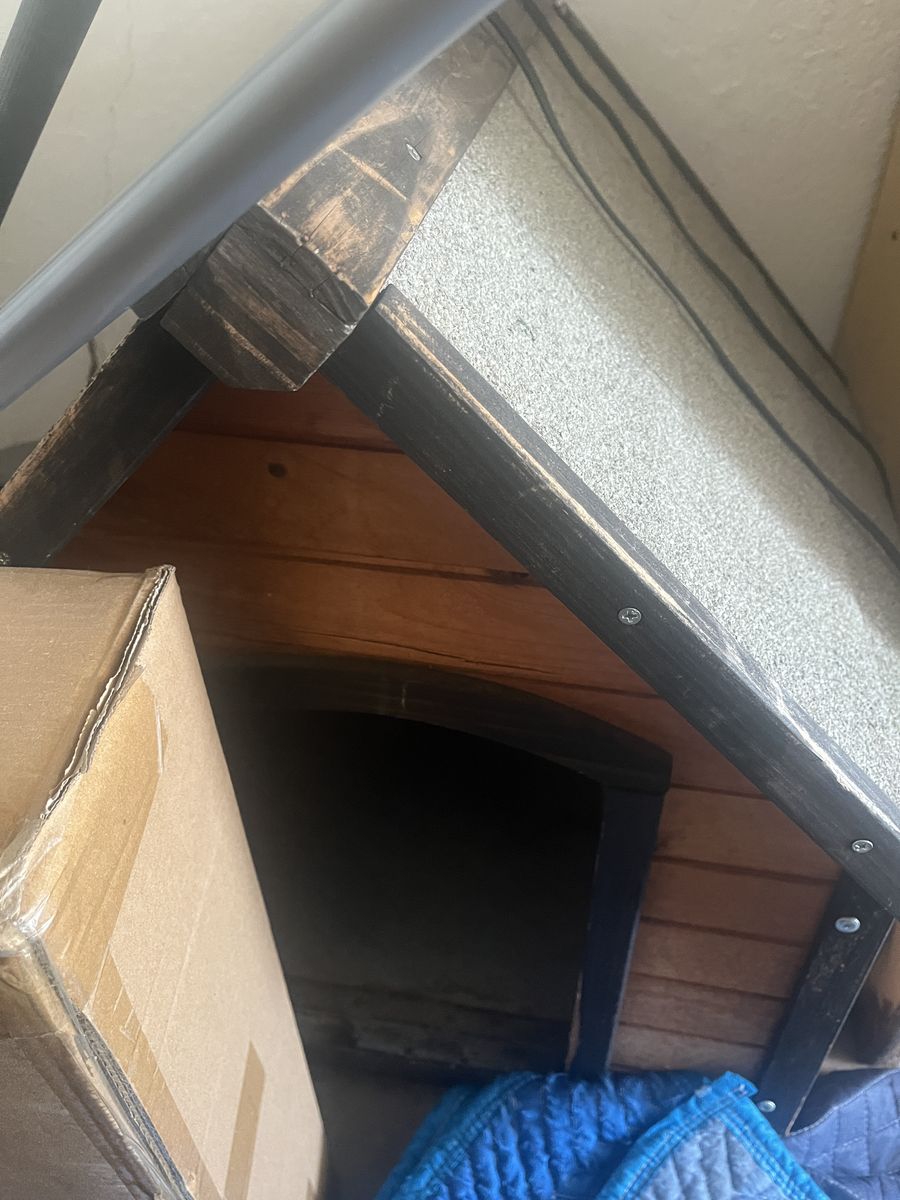 Tortoise house