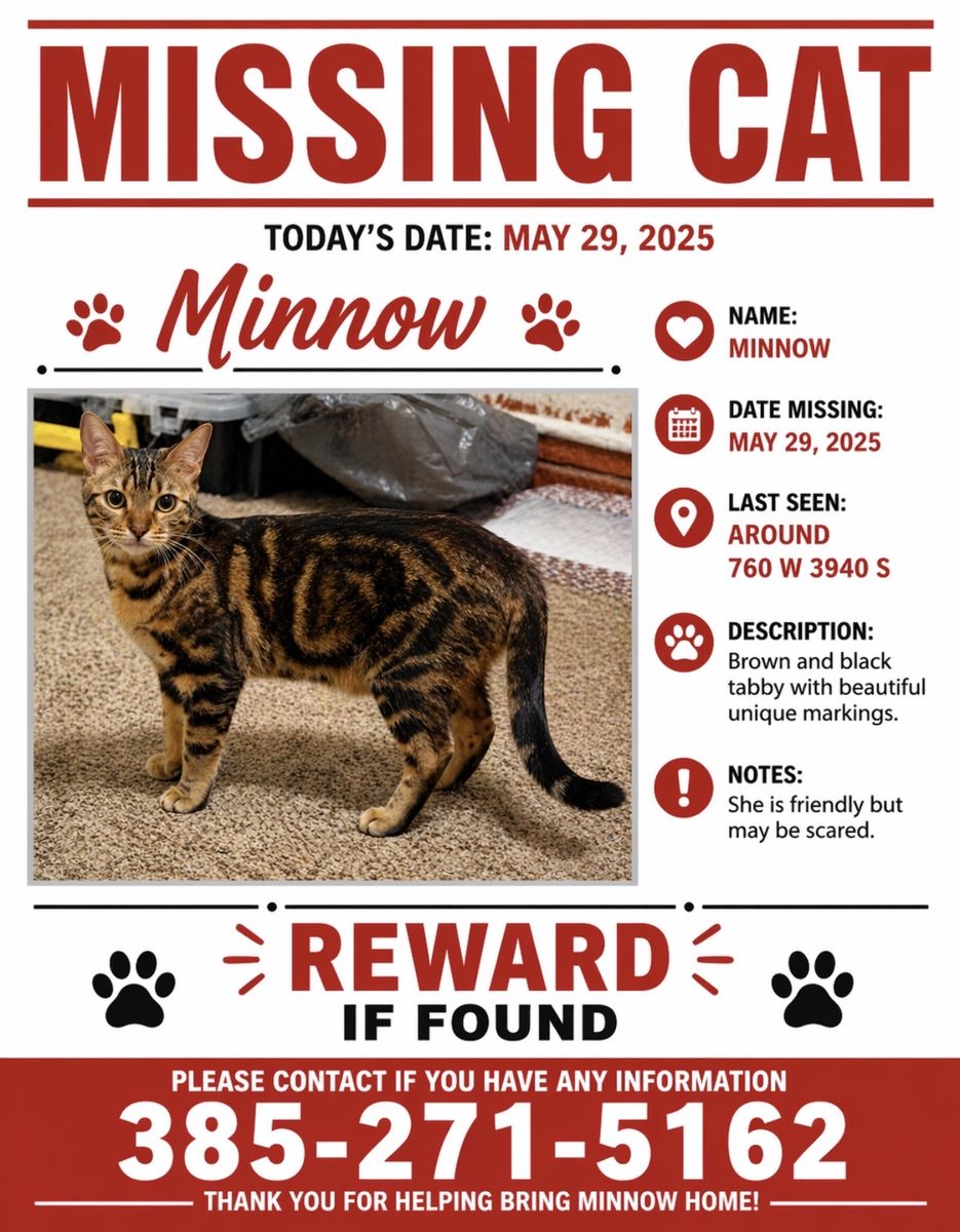 Looking for Lost cat near 3900 S 700 W