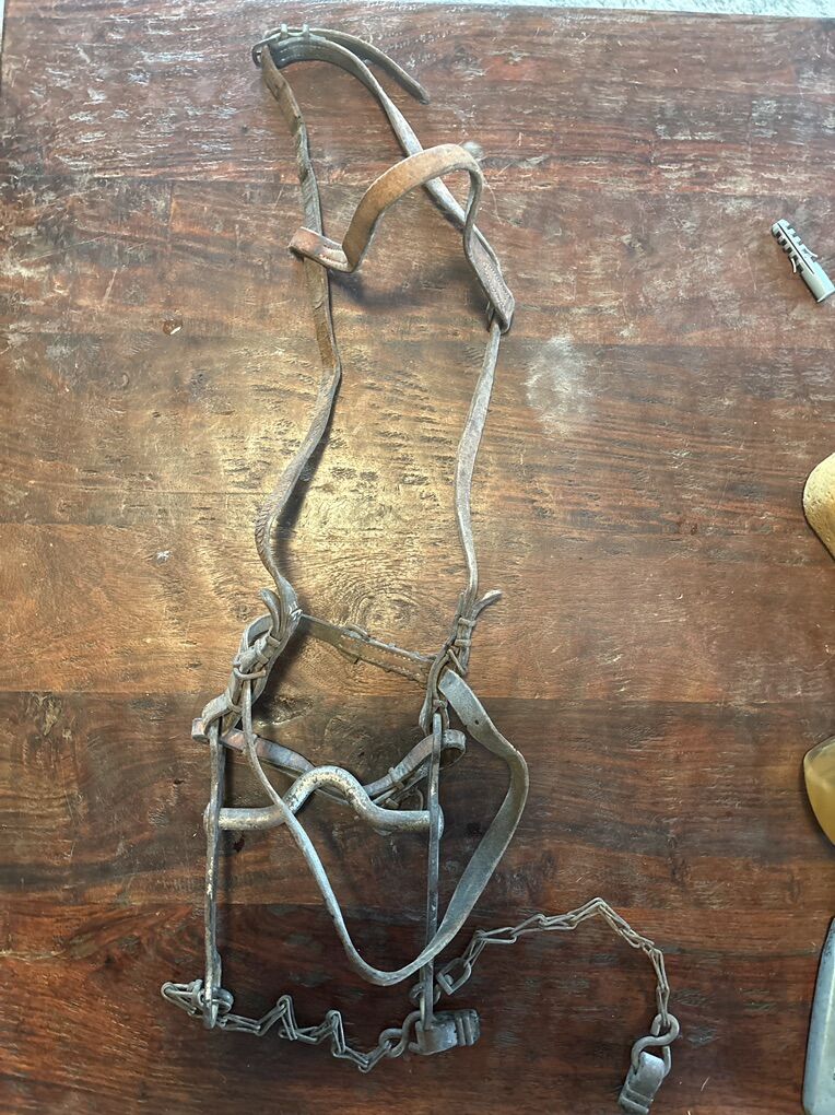 Antique Bridle With Bit And Slobber Chains