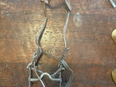 Antique Bridle With Bit And Slobber Chains