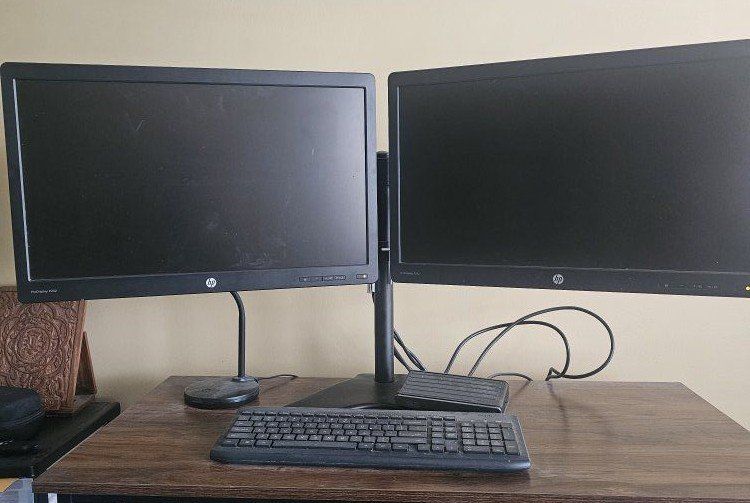 $40. 2 monitors.