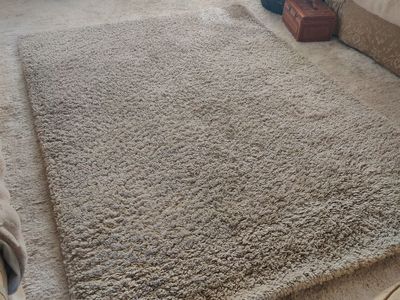 Plush Carpet 87" x 63"