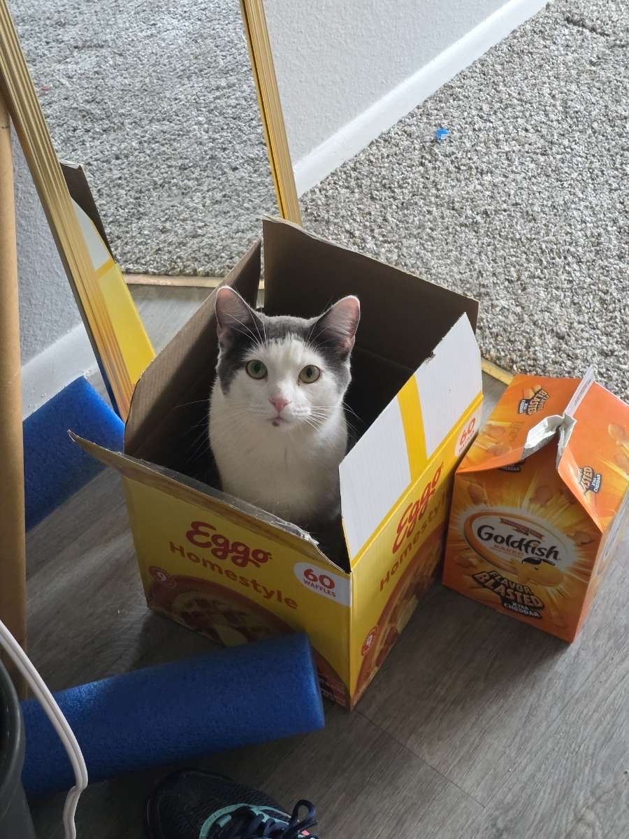 My name is Winston