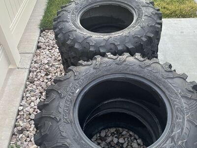 Maxxis Carnivore 31X10XR15