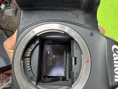 6D