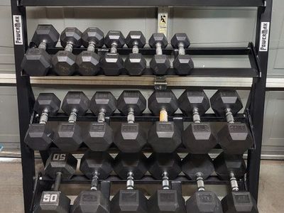 Dumbbells 556 pounds