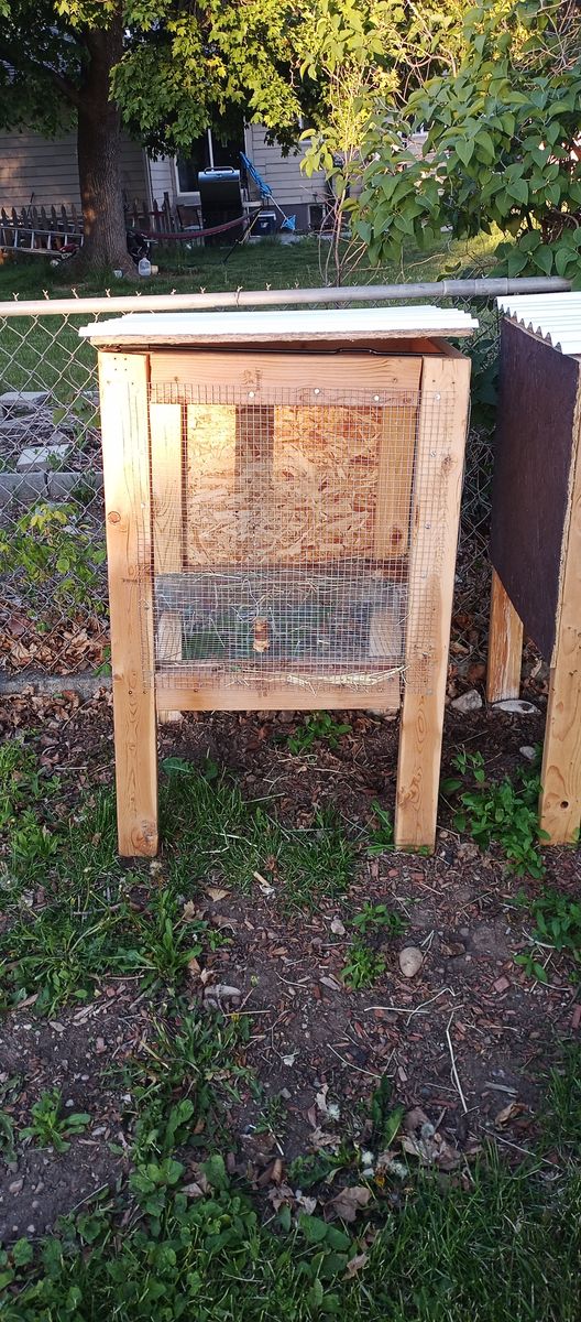Rabbit hutch