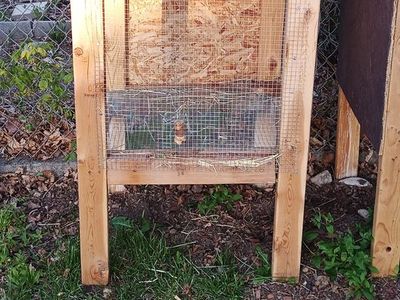 Rabbit hutch