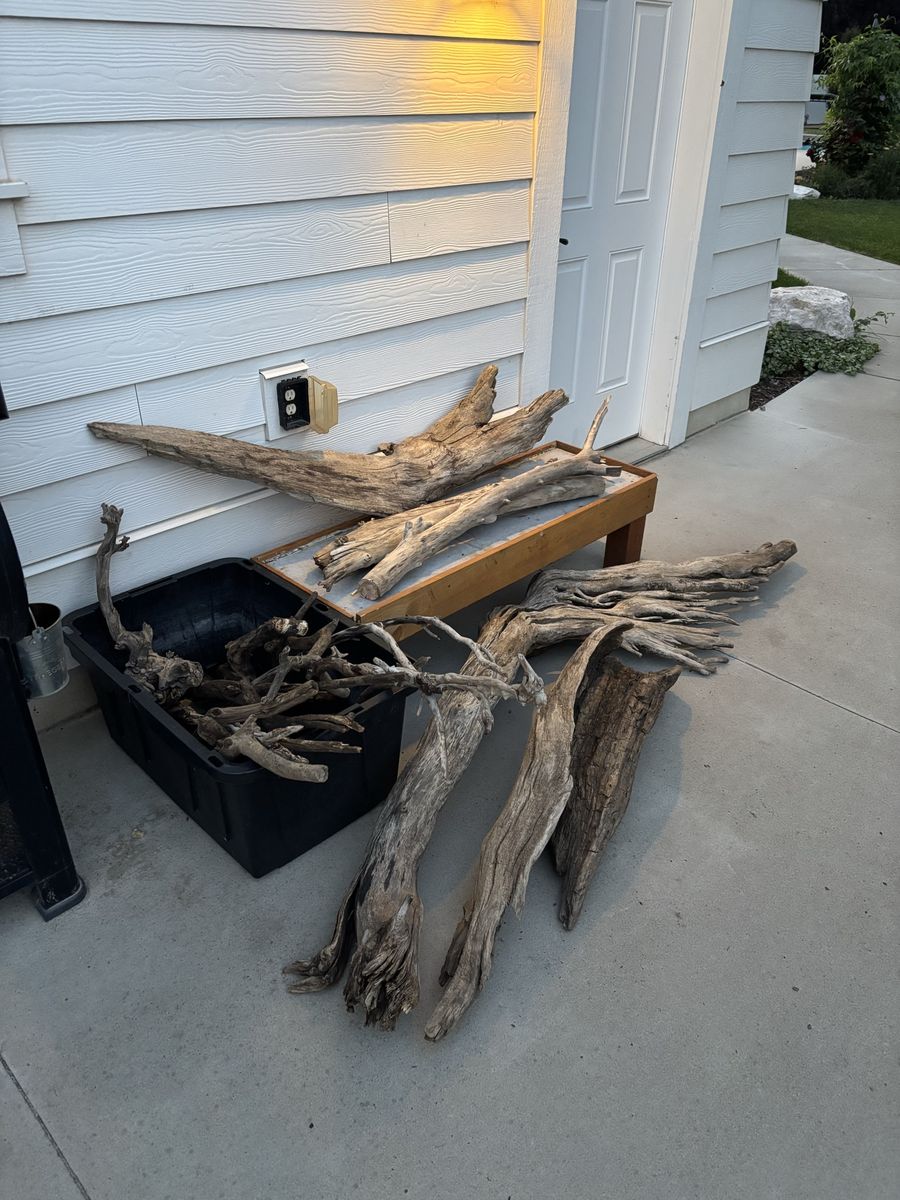 drift wood
