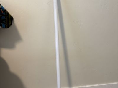 Lightsaber (7months old)