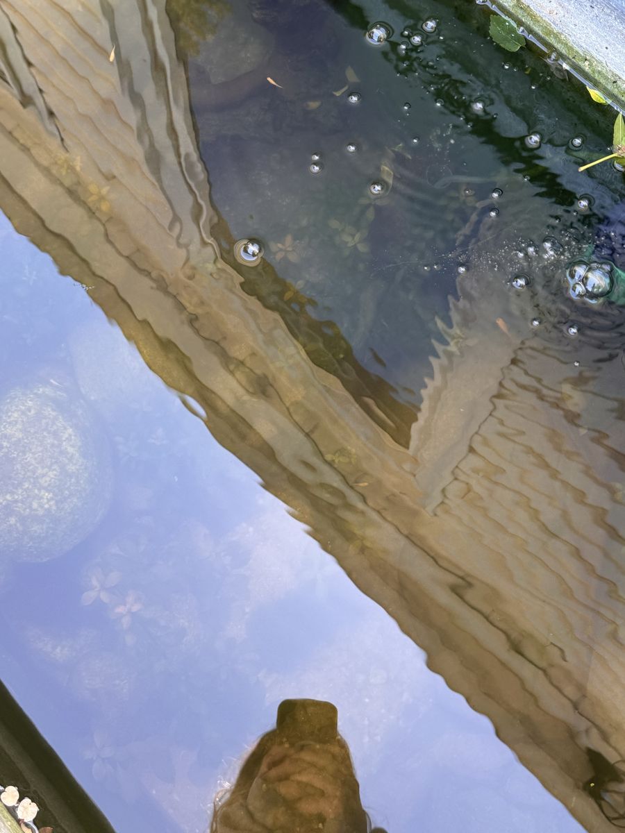Main image 2