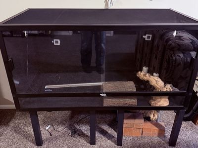 Dubia reptile enclosure