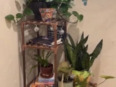Plant stand
