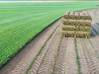 Fresh Farm Sod Delivery Utah And Salt Lake County