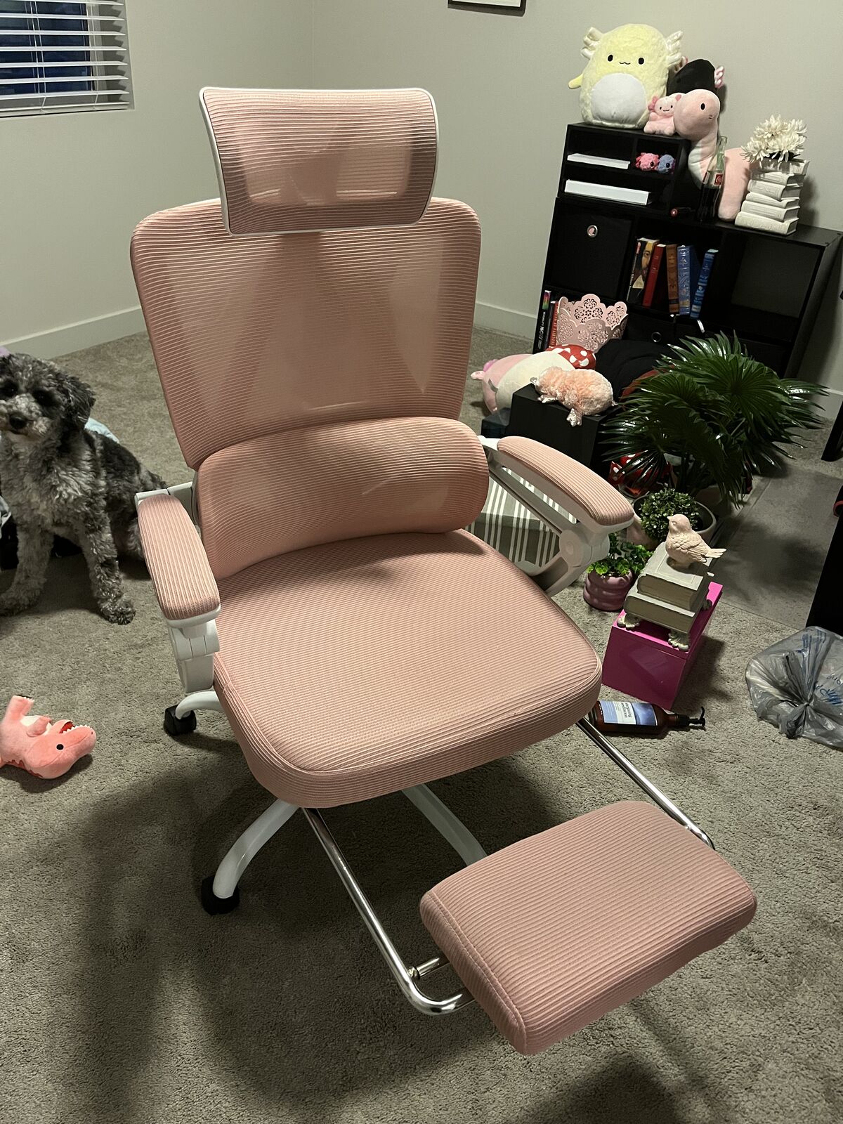 Desk Chair With Foot Rest