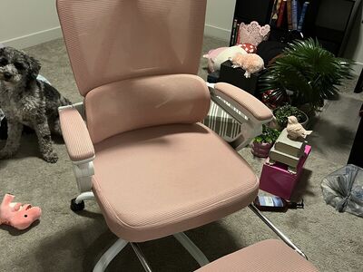 Desk Chair With Foot Rest