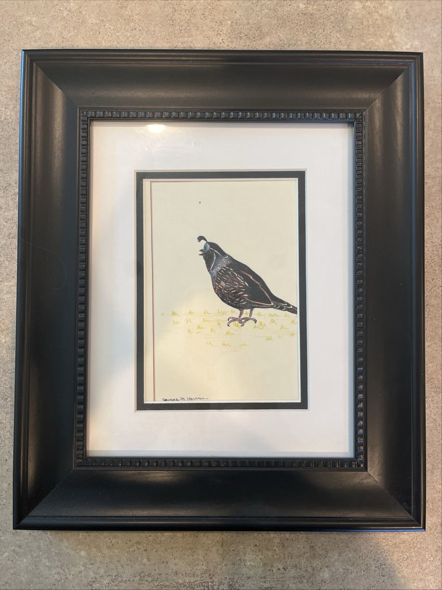 Framed Quail Bird Print by Janyce M. Harrison - Nature Art Decor