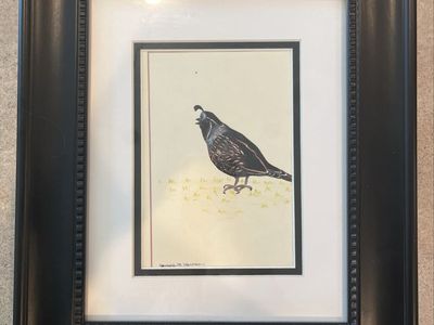 Framed Quail Bird Print by Janyce M. Harrison - Nature Art Decor
