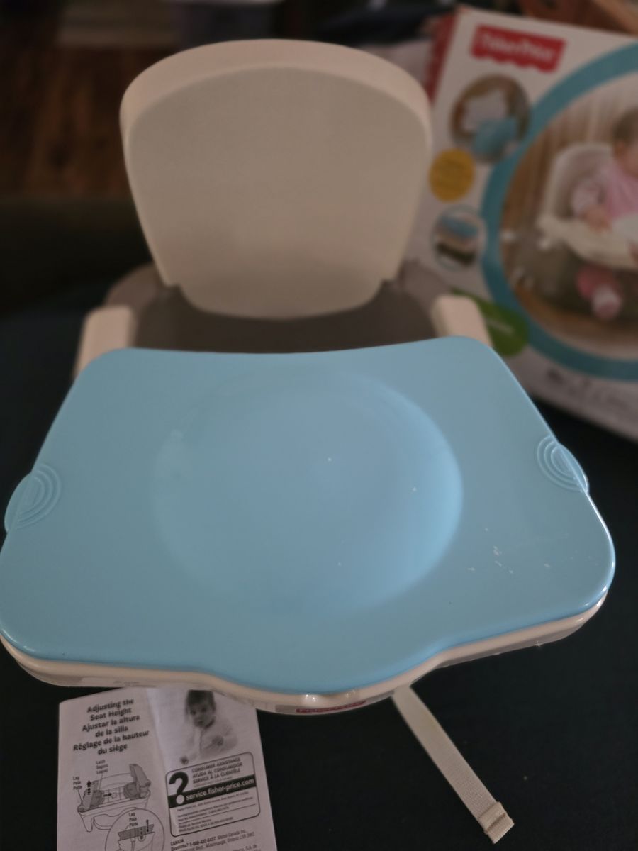 Fisher Price Healthy Care Booster Seat with Tray