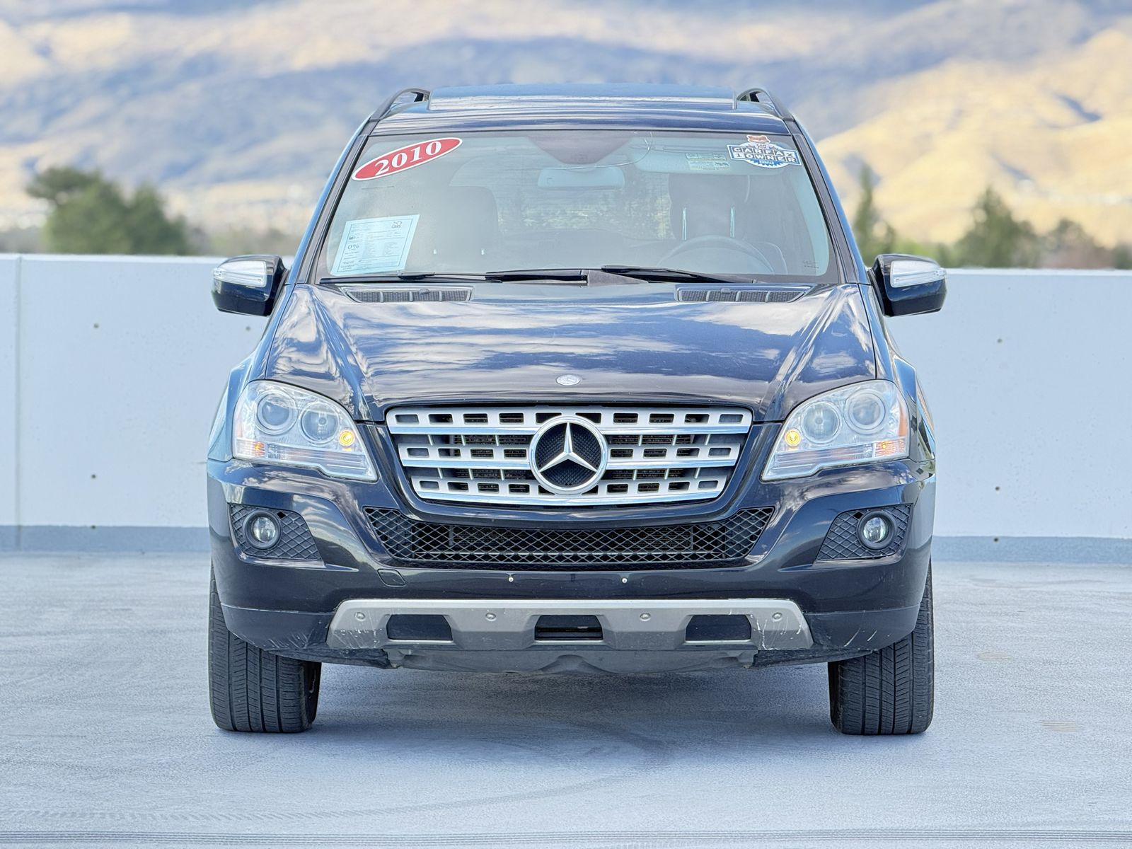 2010 Mercedes-Benz M-Class ML350