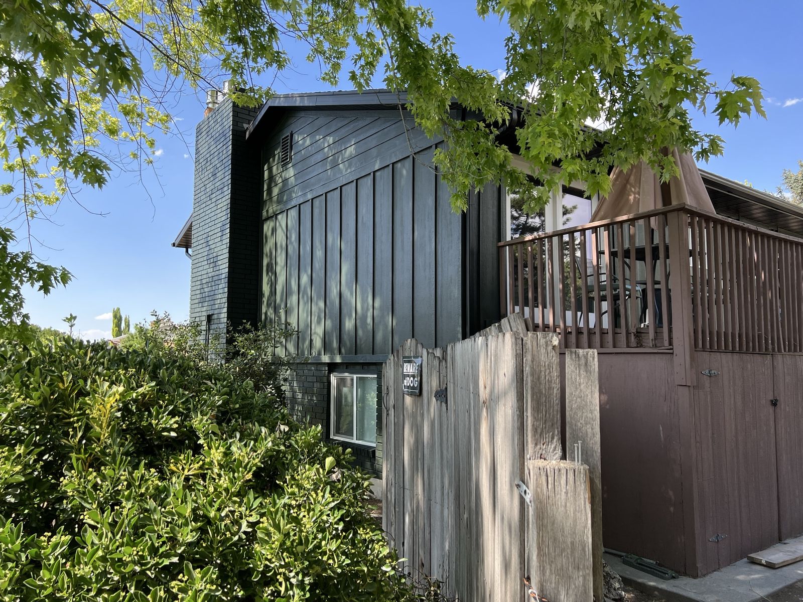 Main image 6