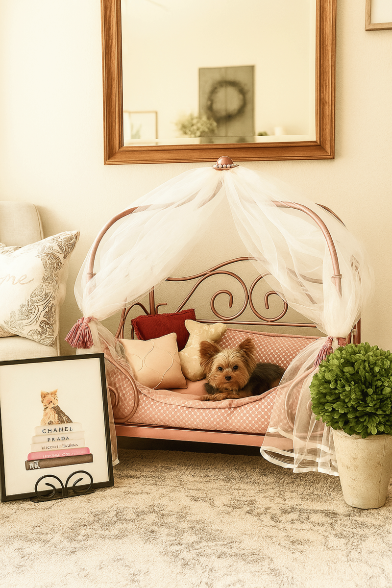 PAWresian Wrought Iron Canopy Pet Dog Cat Bed Baby Portrait Prop