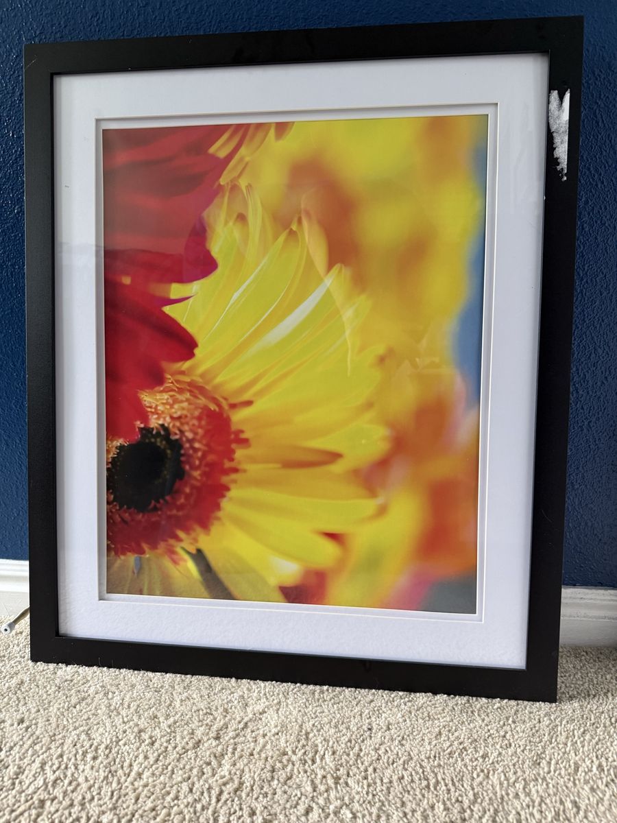 20x16” double-matted black frame