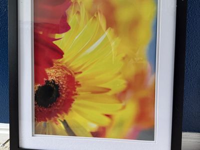 20x16” double-matted black frame
