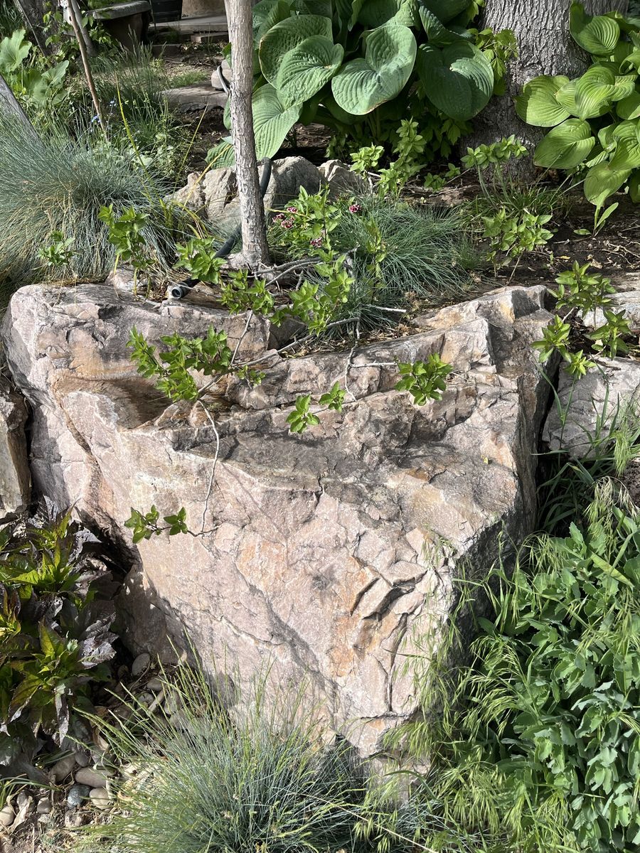 Main image 5