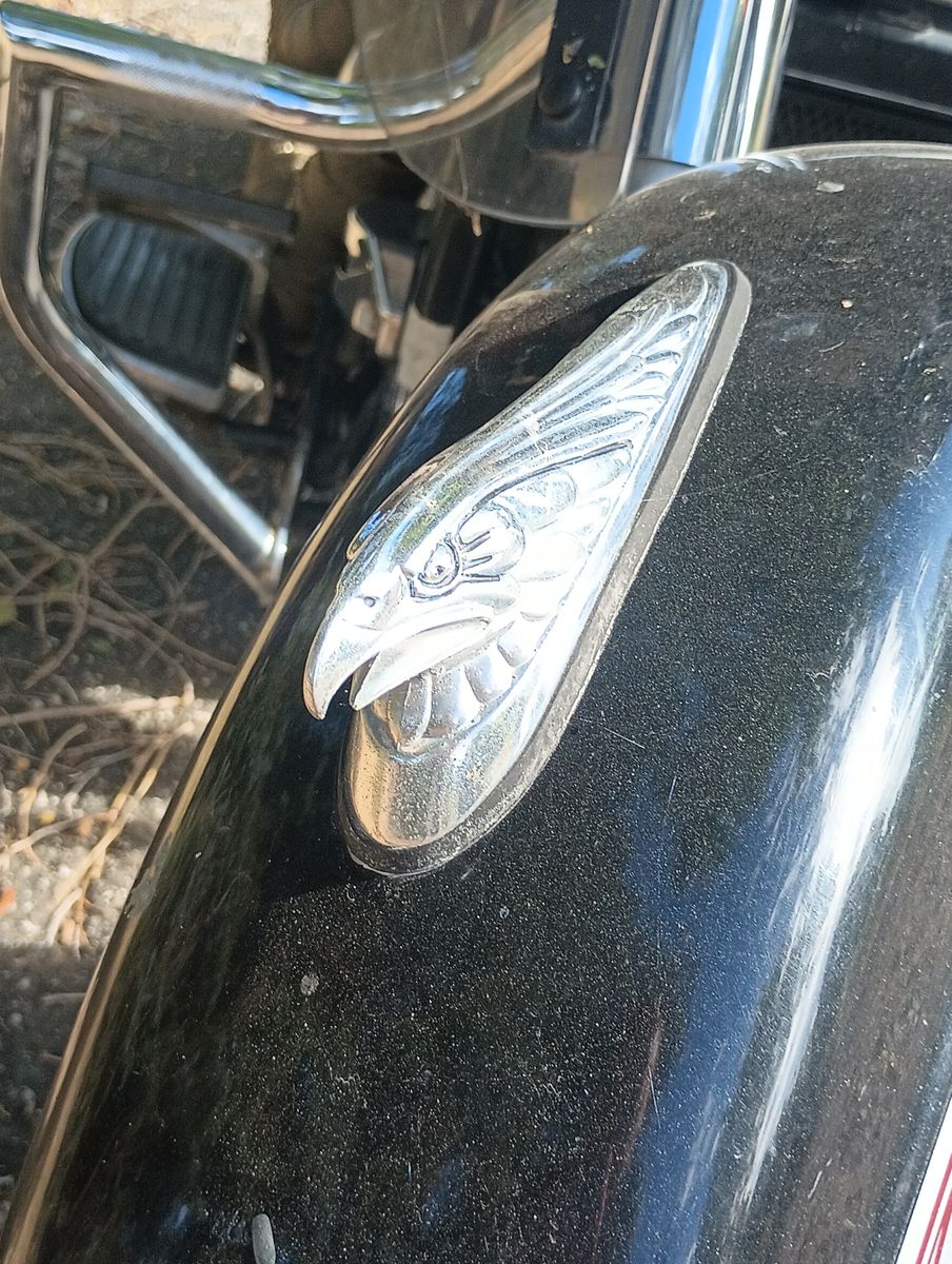 Main image 5