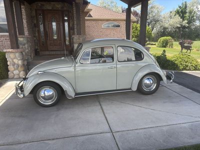 1964 Volkswagen Beetle