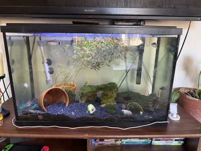 Aquarium 29 gallon full setup