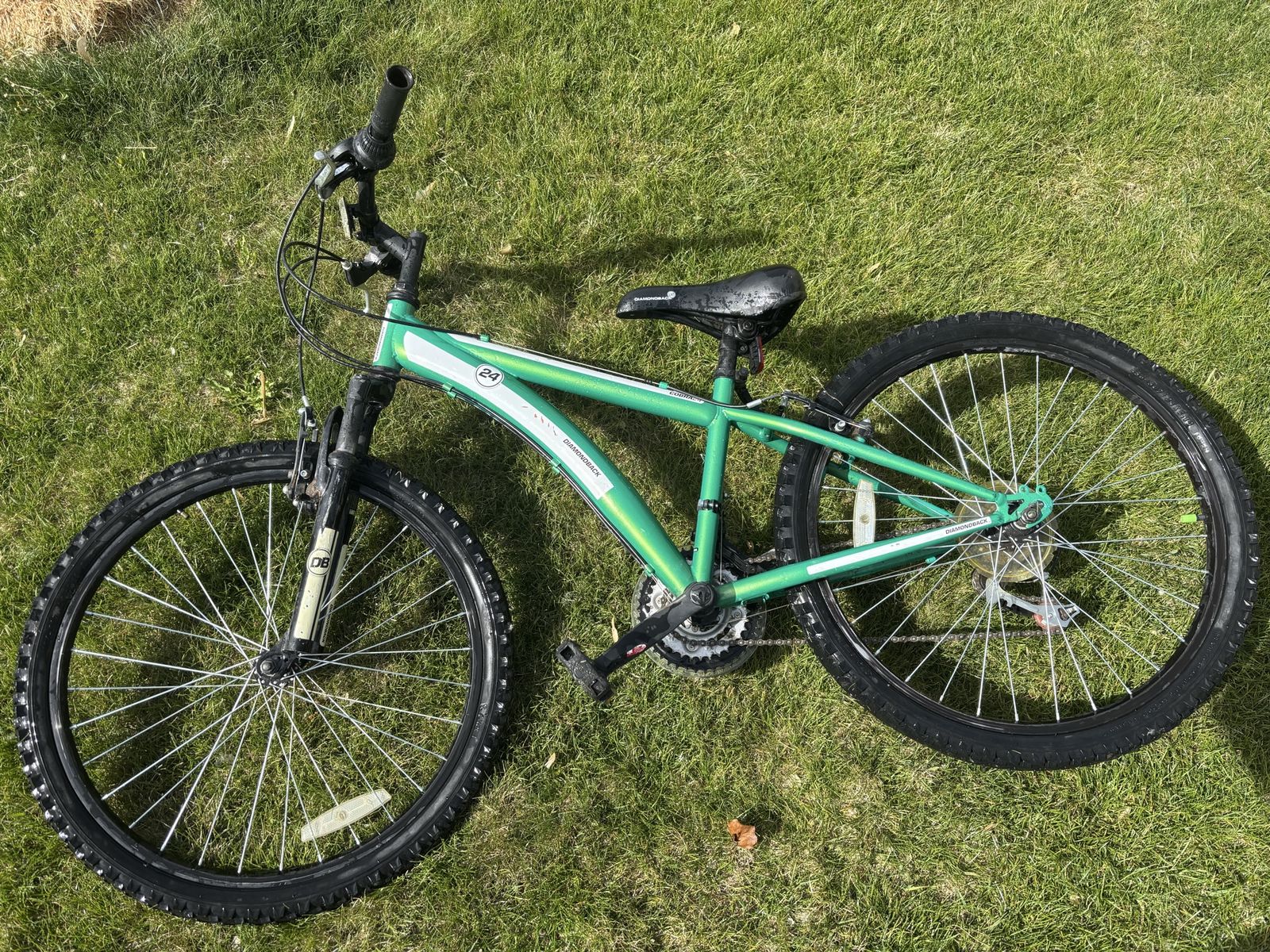2 Trek 24” bikes
