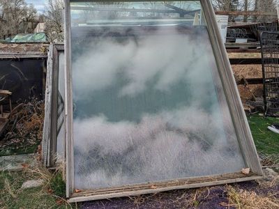 Big Windows for sale $300 OBO