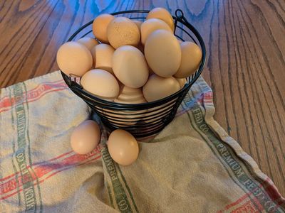 Farm fresh eggs