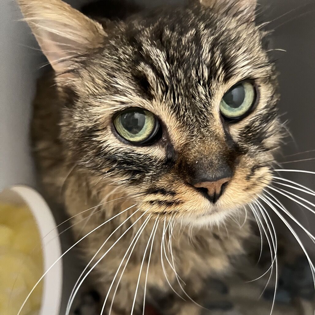 Hello my name is Zuza