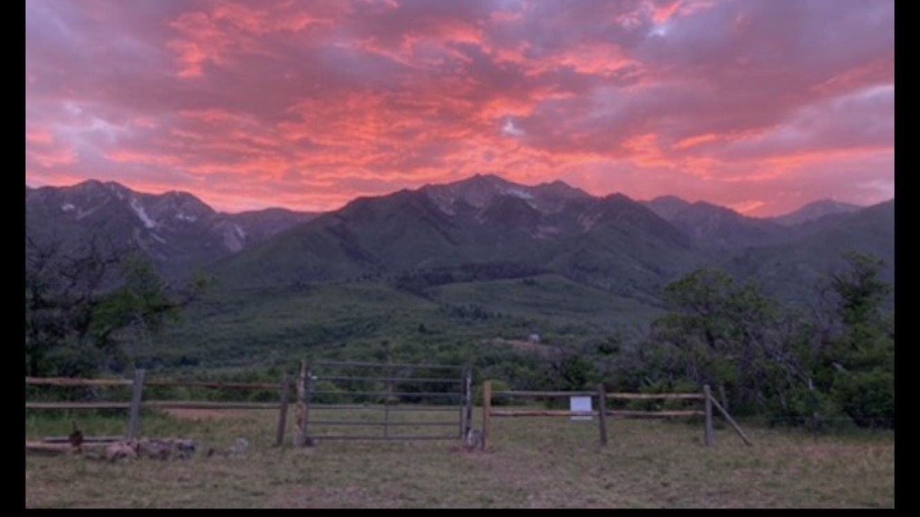 Scenic Mountain View Land Lot in Hobble Creek Canyon