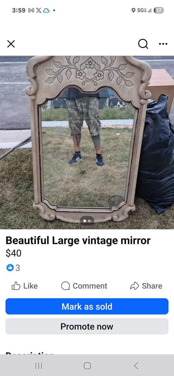 Large Vintage Ornate Gold Carved Wood Frame Wall Floor Mirror - Floral Details, Excellent Condition