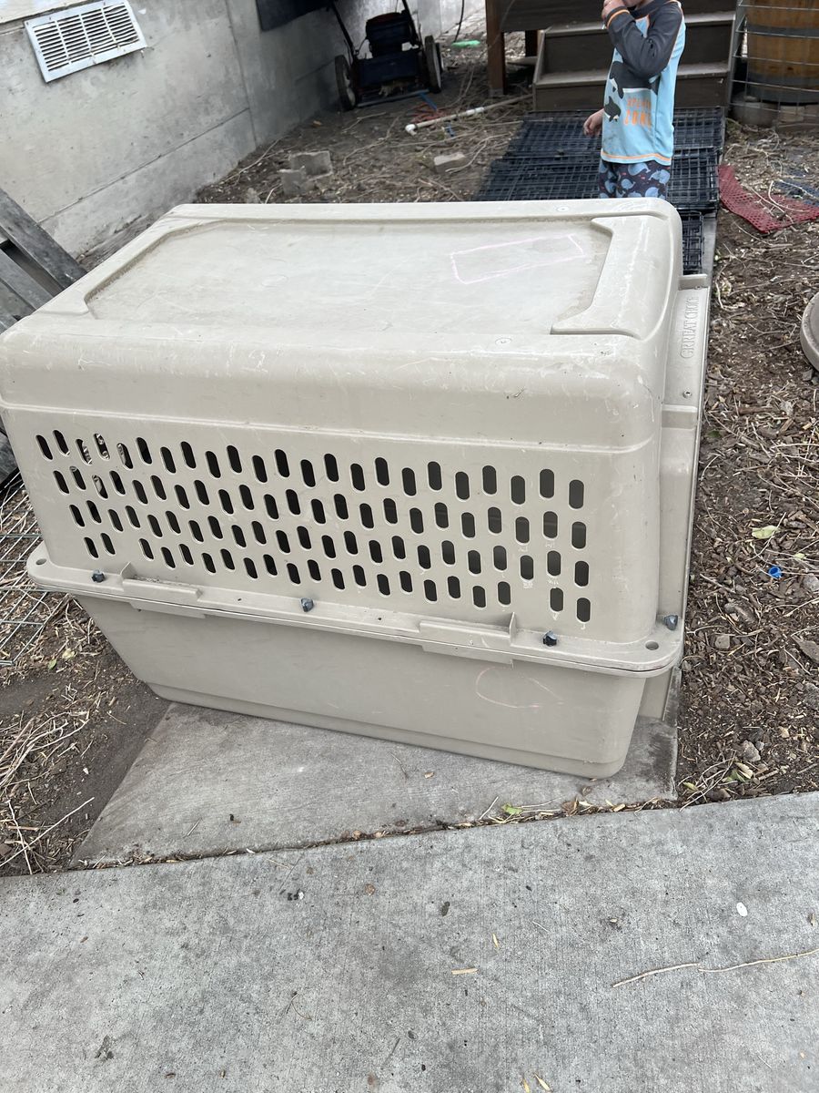 Folding dog kennels and Vari Kennel