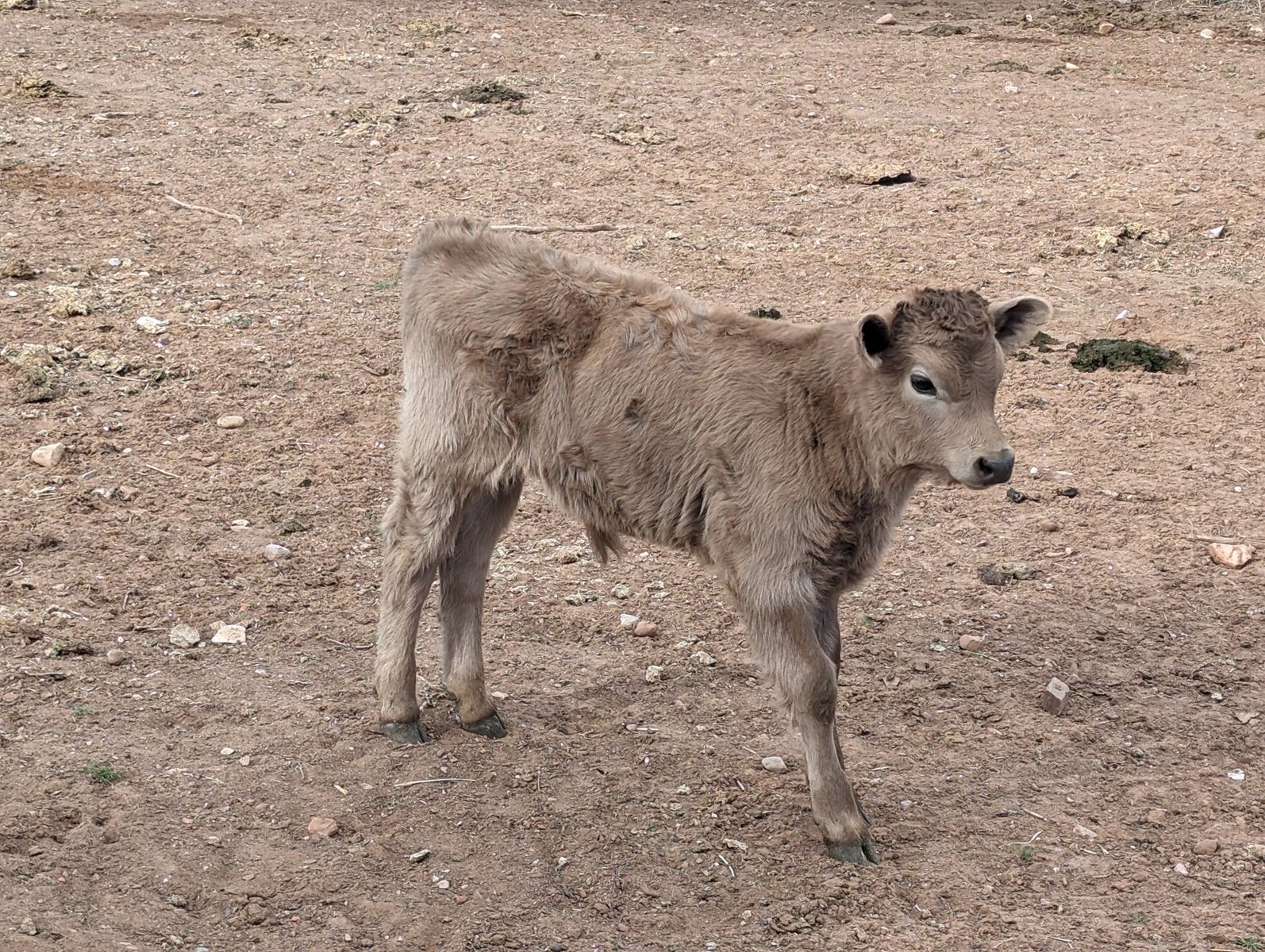 Main image 7