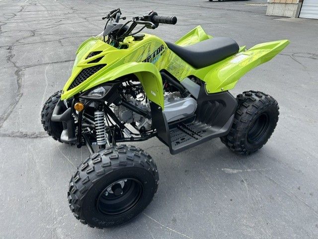 2026 Yamaha RAPTOR 110