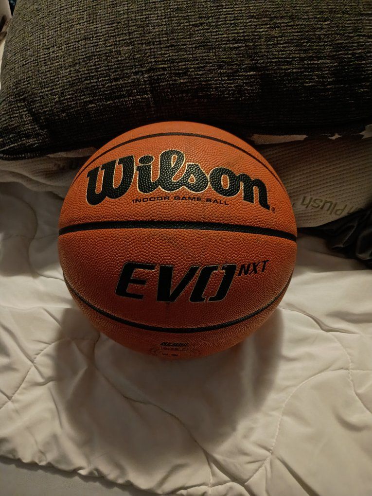 Wilson Evo Basketball