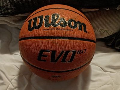 Wilson Evo Basketball