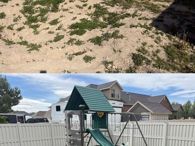 Playset Installation & Backyard Transformation — Done Right!