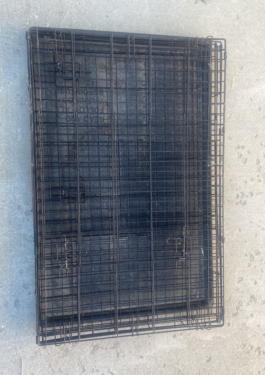 Main image 5