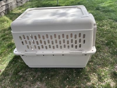Dog Kennel