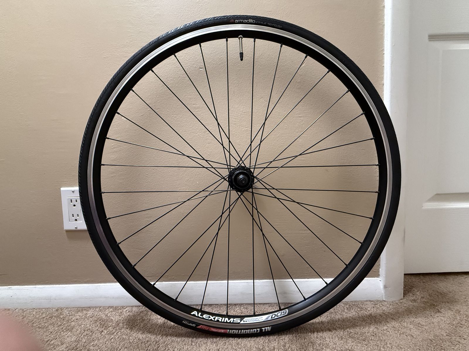Alexrims DC19 Rear Wheel - Shimano Claris - 10s