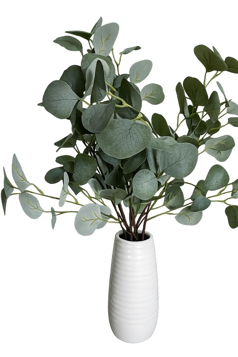 Eucalyptus in White Ceramic Pot, 24"