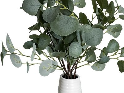 Eucalyptus in White Ceramic Pot, 24"