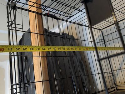 Dog Kennel